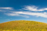 Roadside Hillside