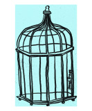 Birdcage in Aqua