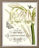 Jardin Botanique I