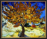 Mulberry Tree  c1889