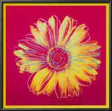 Daisy  c1982 (Fuschia and Yellow)
