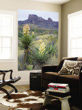 Spanish Dagger in Blossom Below Crown Mountain  Chihuahuan Desert  Big Bend National Park  Texas