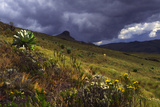 Aberdares Kenya