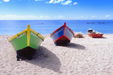Boats Stored on a Caribbean Beach  Puerto Rico