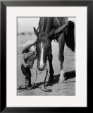 Jean Anne Evans  14 Month Old Texas Girl Kissing Her Horse