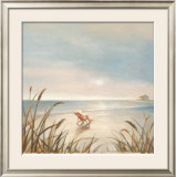 Beach Cottage