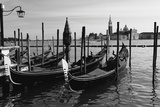 Gondolas of St Marks Square  Venice  Italy