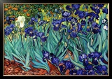 Irises  Saint-Remy  c1889