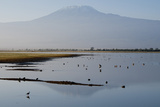 Kilimanjaro III