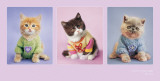 Kitty Couture