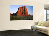 Temple of the Sun  Lower Cathedral Valley  Colorado Plateau  Capitol Reef National Park  Utah  USA