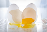 Cracked Egg