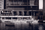 Chicago River Boats