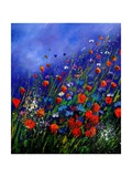 Wild Flowers 789070