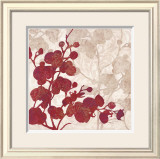 Luscious Orchid I