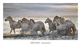 Running Horses