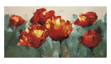 Poppies On Slate