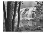 Bond Falls & Trees
