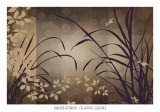 Celebrate Elegance