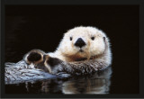 Otter