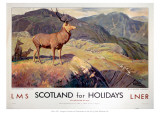 Scotland for Holidays