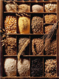 Grains and Rice