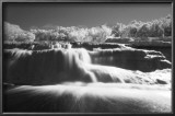 Bull Creek IR