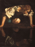 Narcissus