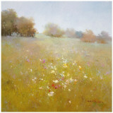 Meadow in Summer