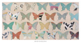 Butterfly Collection