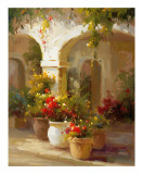 Summer Flowers