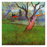 Vue D'Arles Avec Arbres En Fleurs