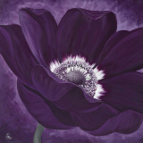 Purple Passion I
