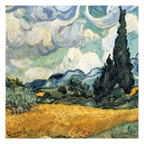 Champ De Blé Avec Cypres