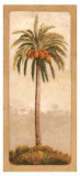 Palmtree II