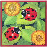 Ladybird II
