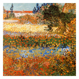 Jardin Fleuri A Arles