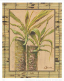 Tropical Plant III