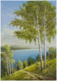 Birches At The Lake II