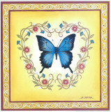 Blue Butterfly