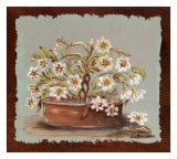 Small Trees And Pots III