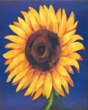 Great Sunflower