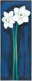 Narcissus In Blue II