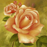 Splendour