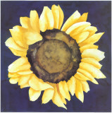 Huge Sunflower II