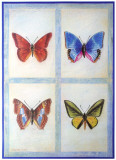 Blue Butterflies