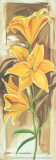 3 Yellow Flowers