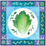 Lettuce
