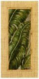Tropical Leaf I