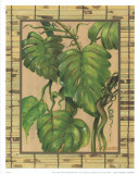 Tropical Plant II